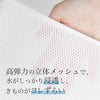 立体メッシュアップ画像