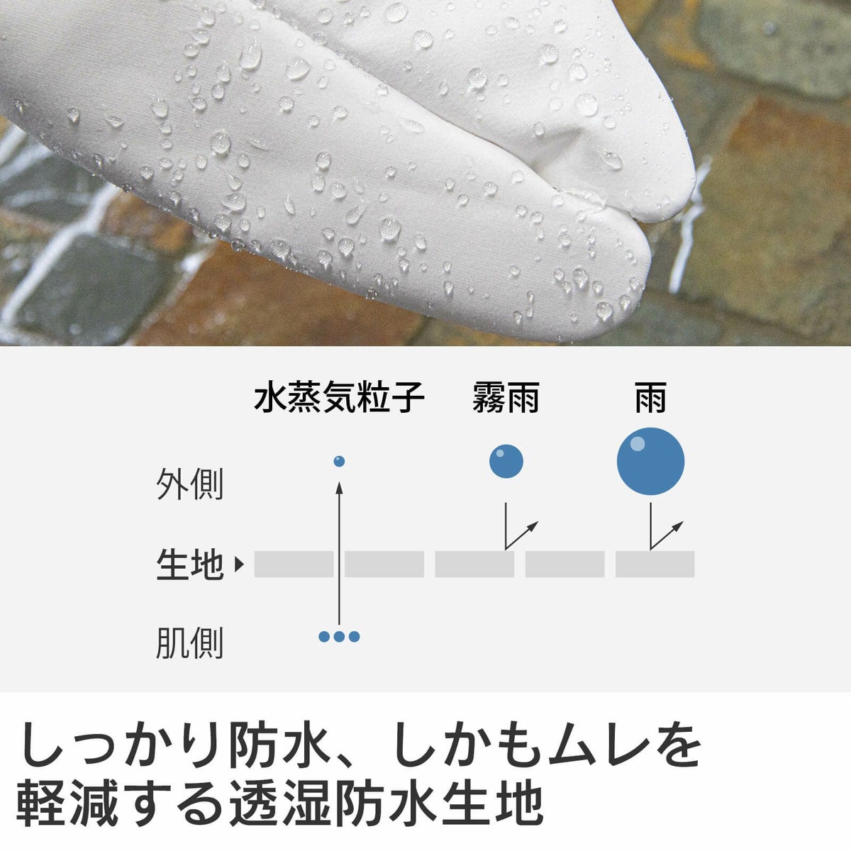 ゑびす足袋　はすのは・5枚コハゼ（雨の日用カバー足袋）