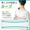 挟んで留める半衿革命 えりすぐり