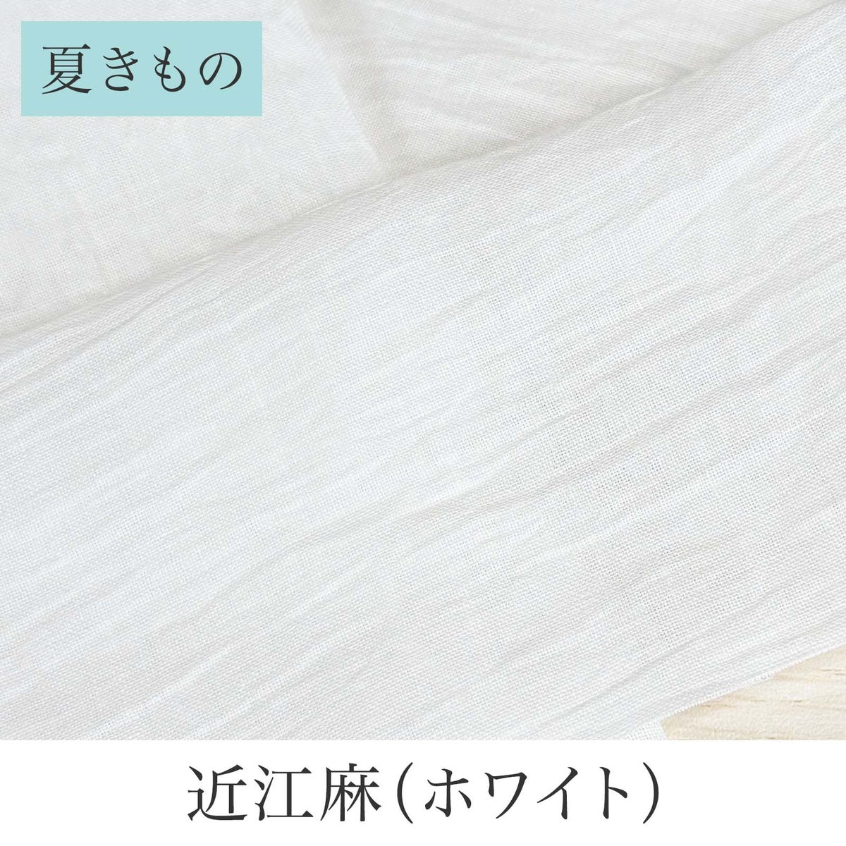 挟んで留める半衿革命 えりすぐり-近江麻