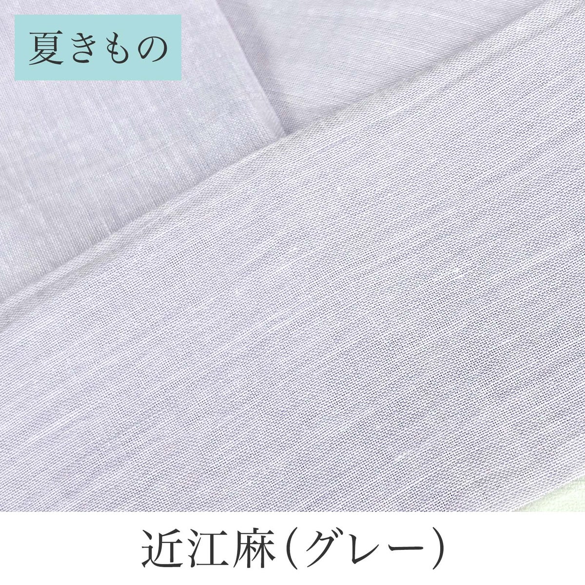 挟んで留める半衿革命 えりすぐり-近江麻