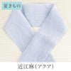 挟んで留める半衿革命 えりすぐり-近江麻